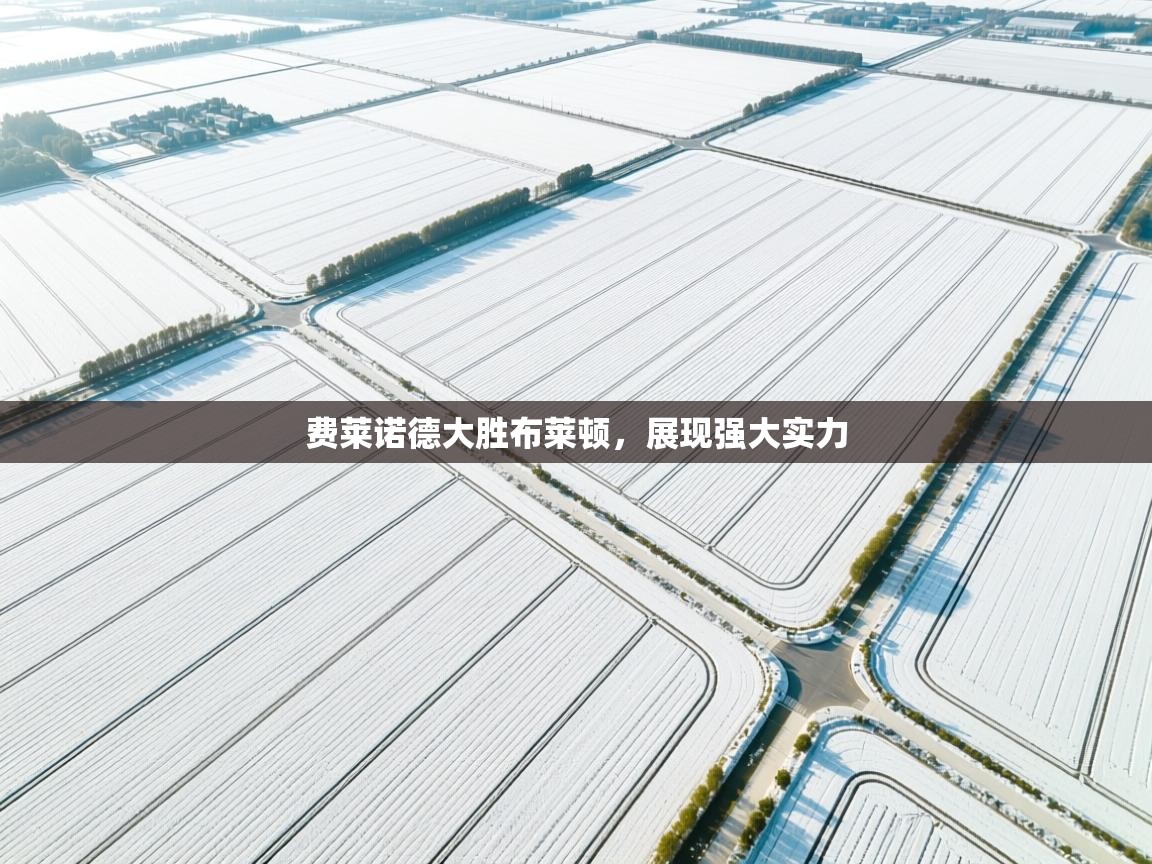 费莱诺德大胜布莱顿,展现强大实力 第2张